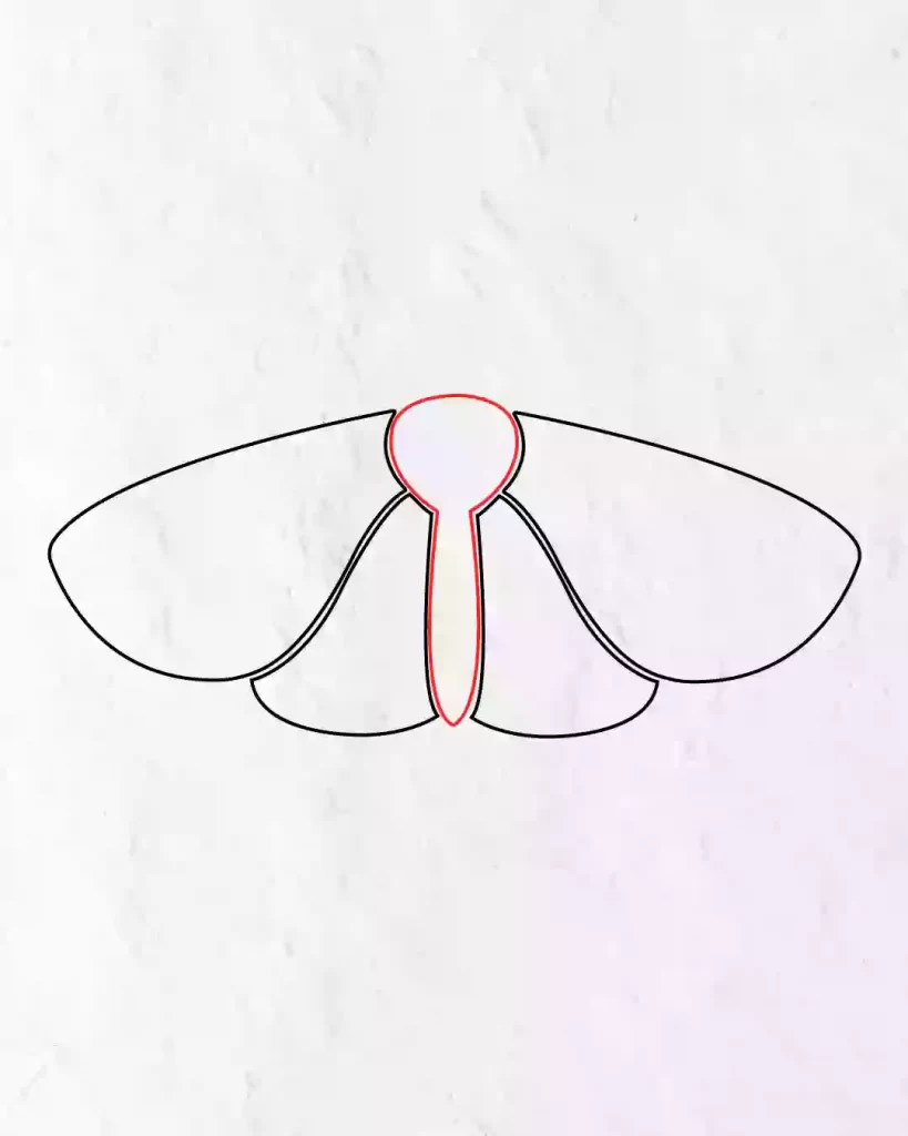 How-to-Draw-a-Simple-Moth-in-Simple-Step-by-step-guide
