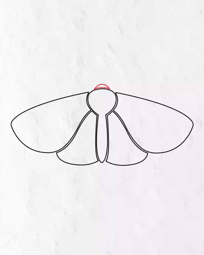 How-to-Draw-a-Simple-Moth-in-Simple-Step-by-step-guide
