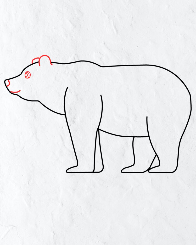how-to-draw-brown-bear-in-simple-and-easy-steps
