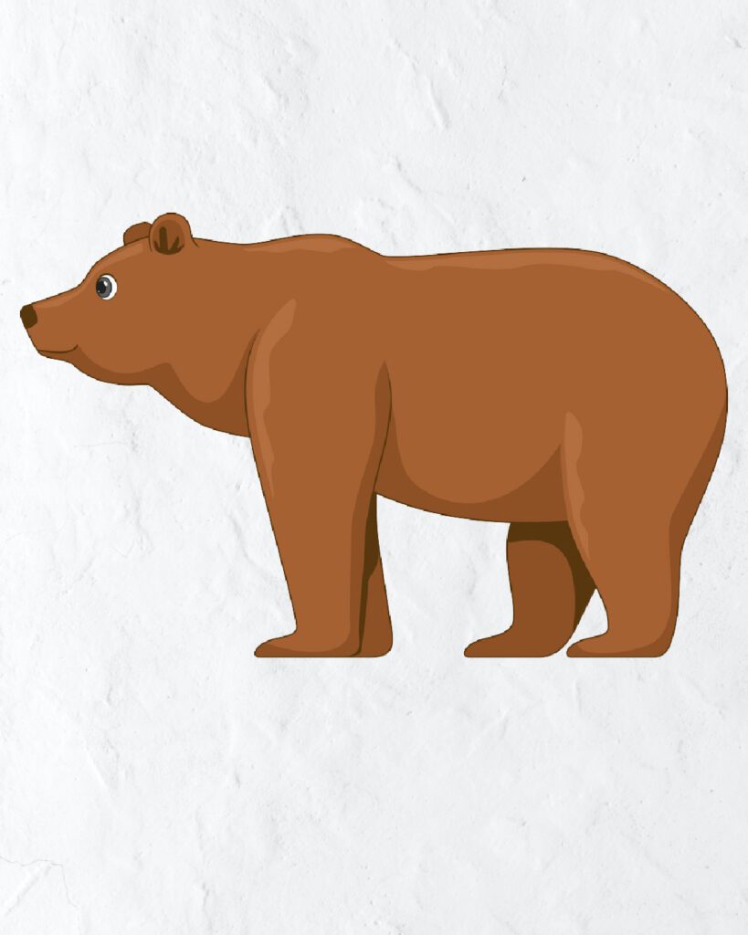 how-to-draw-brown-bear-in-simple-and-easy-steps