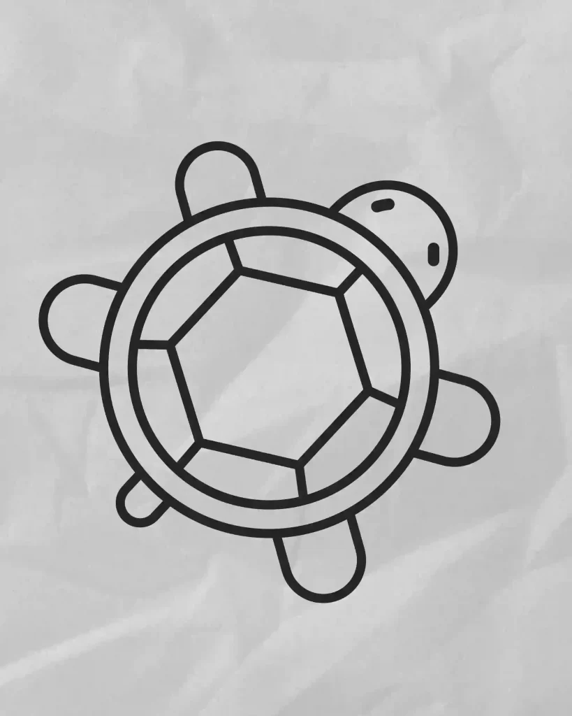 How-to-Draw-Turtle-Step-by-Step 