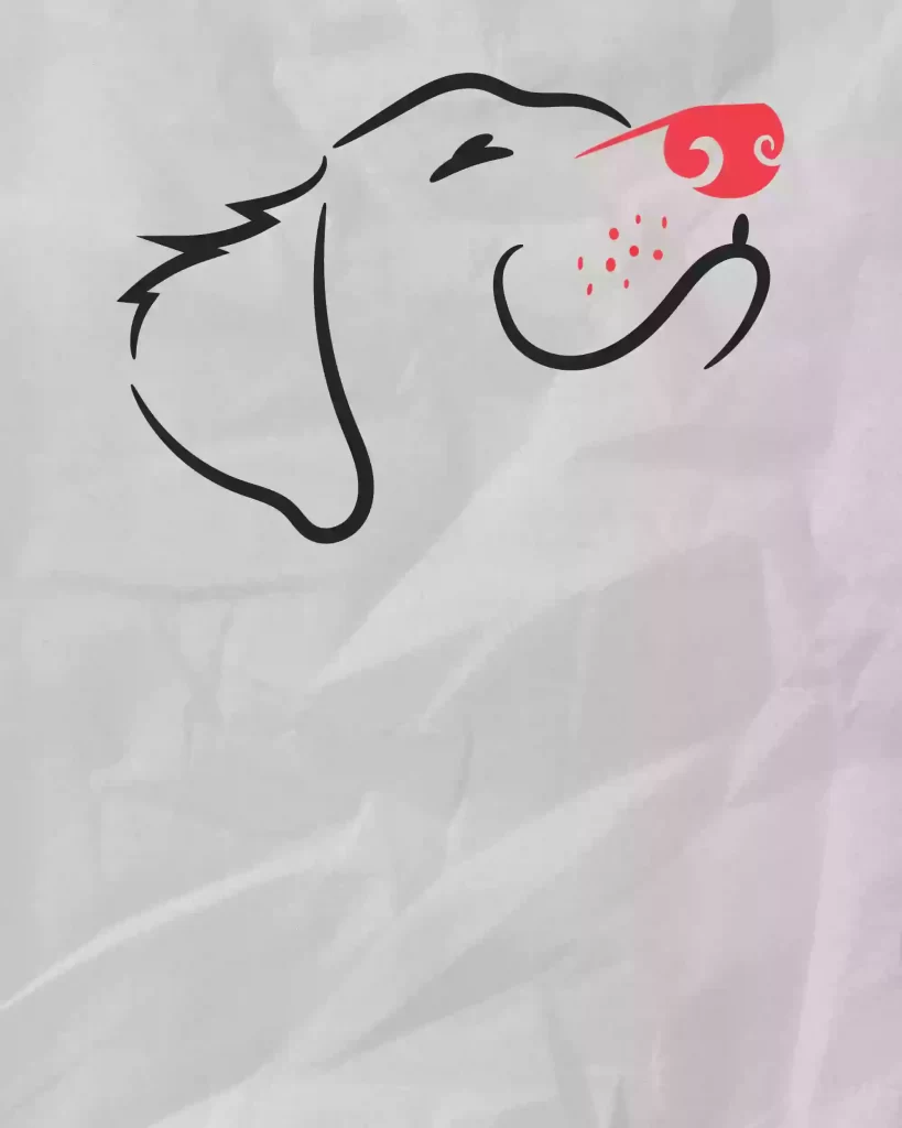 How-to-Draw-a-Dog-Face