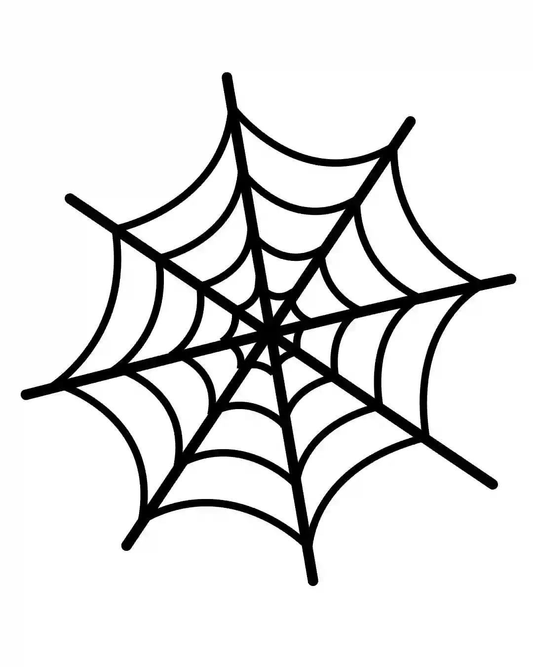 How to Draw Spider web in simple and easy steps for beginners