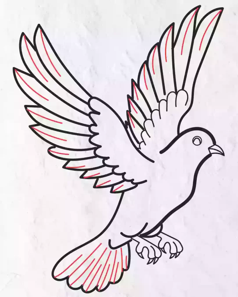 how-to-draw-pigeon-in-simple-and-easy-step-by-step-guide