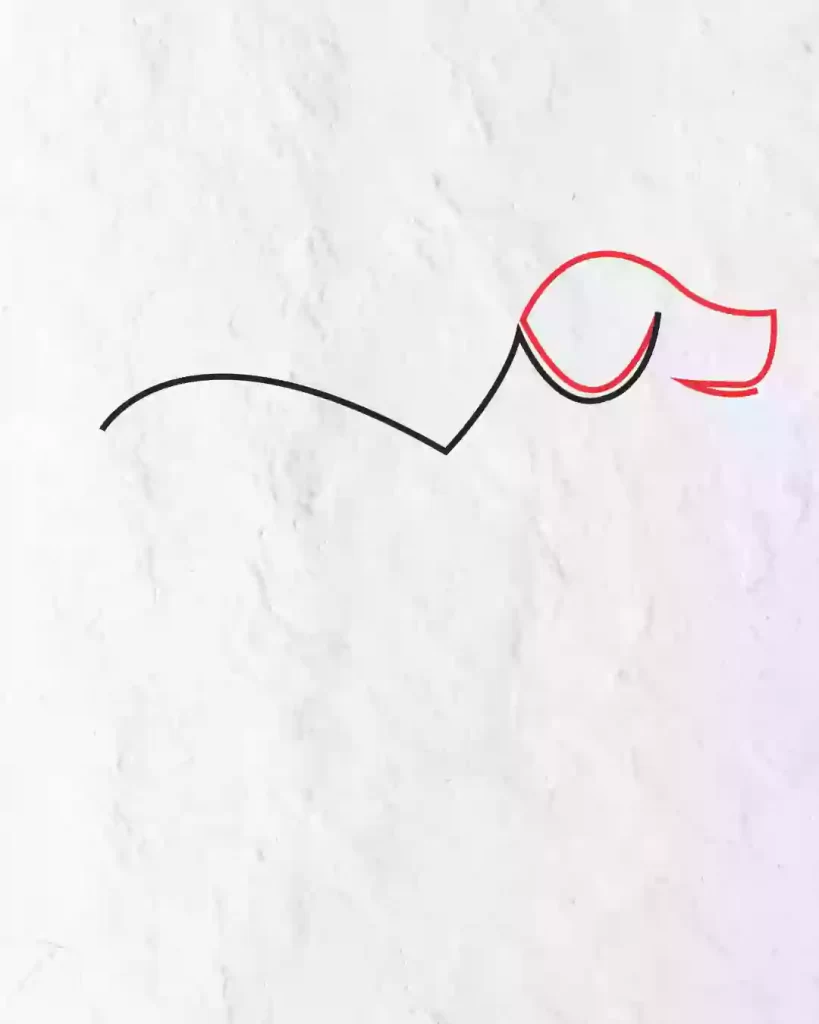 How-to-Draw-Dog-in-8-eas- Steps-Easy-Drawing