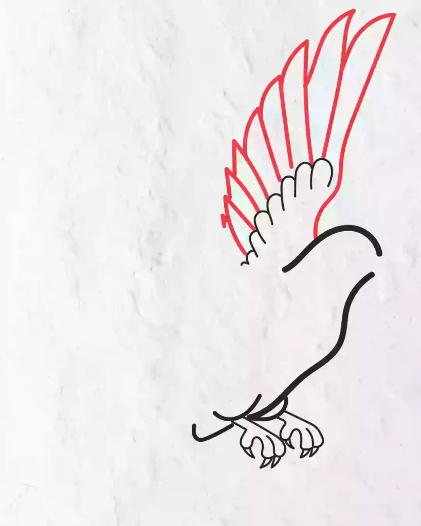 how-to-draw-pigeon-in-simple-and-easy-step-by-step-guide