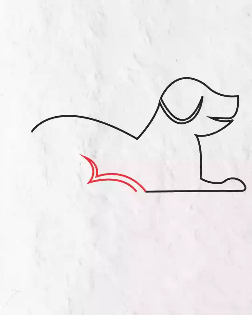 How-to-Draw-Dog-in-8-eas- Steps-Easy-Drawing