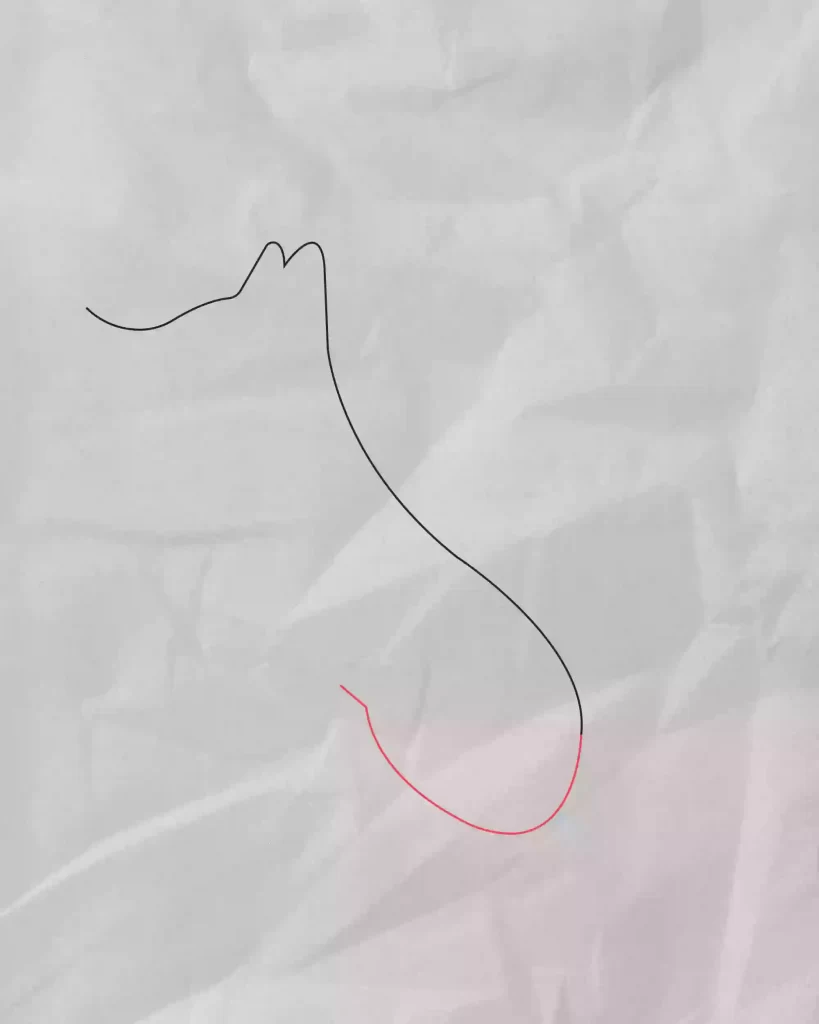 How-to-Draw-A-Fox