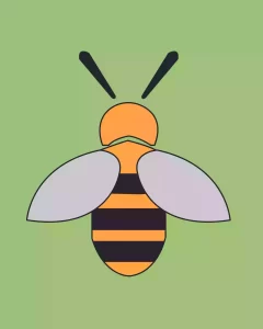 How-o-Draw-a-Bee