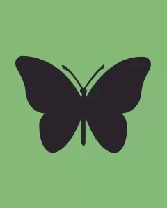 How-to-Draw-a-Butterfly