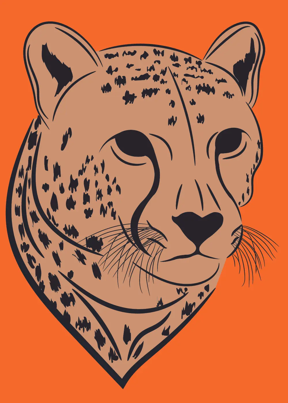 How-To-Draw-A-Cheetah
