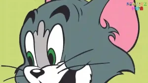 How To Draw Tom From Tom And Jerry