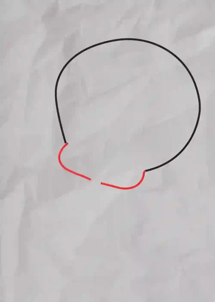 How-to-Draw-Tweety-Bird 