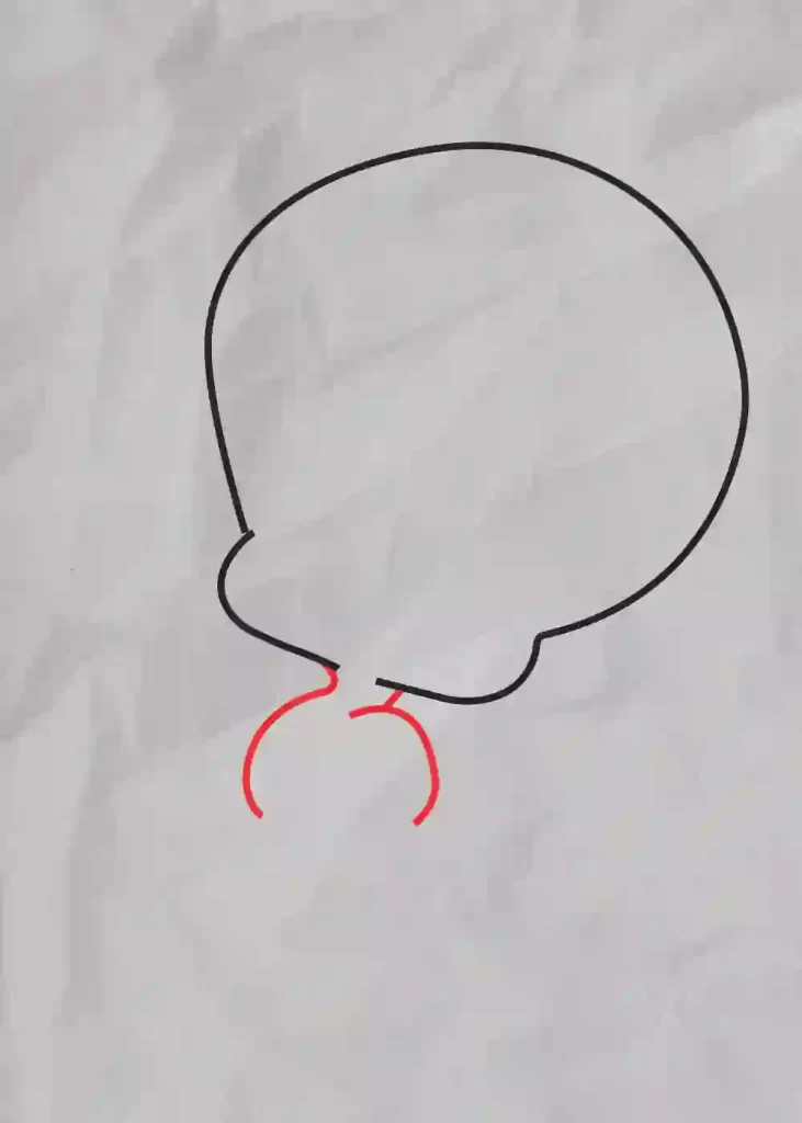 How-to-Draw-Tweety-Bird 