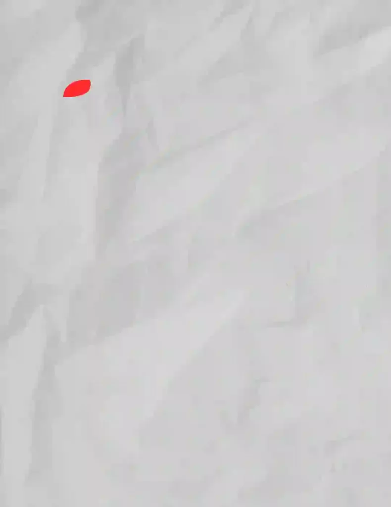 How-to-Draw-a-Dog