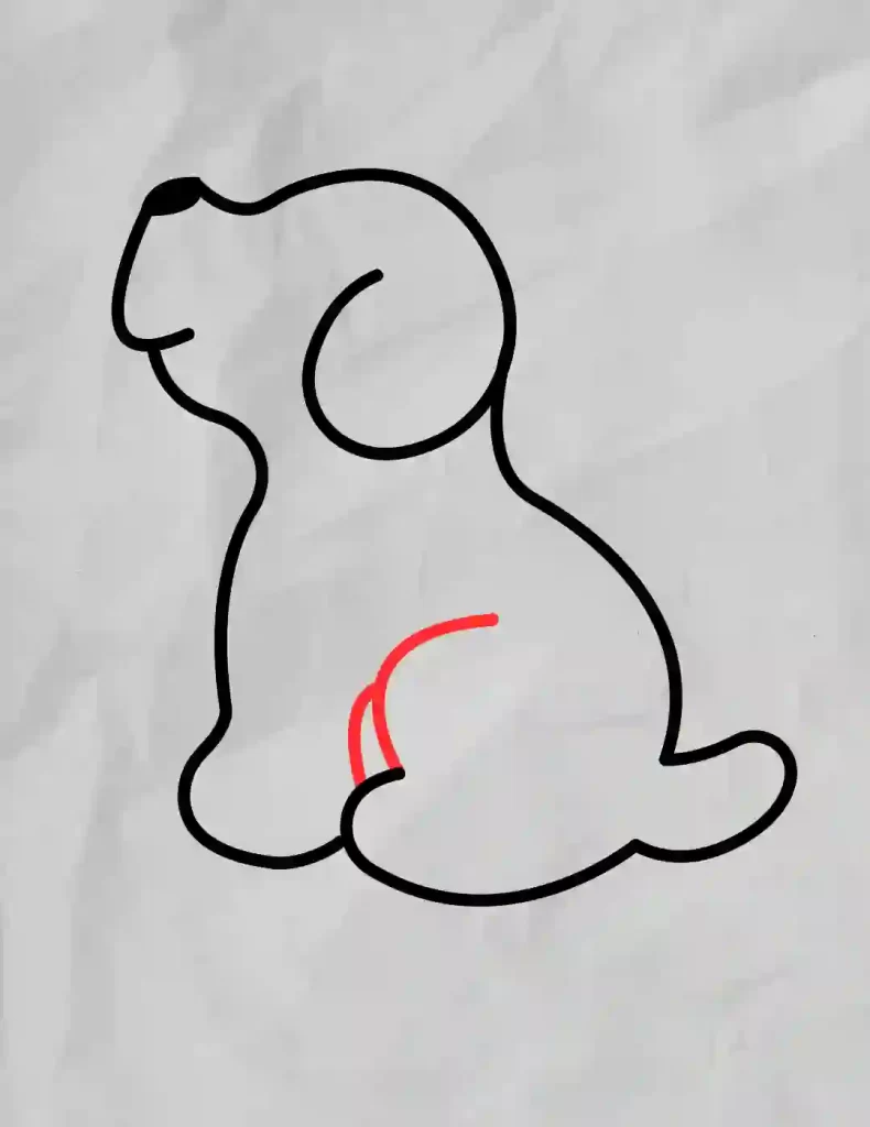 How-to-Draw-a-Dog