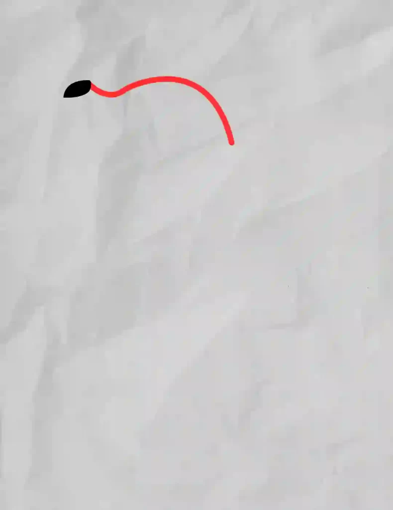 How-to-Draw-a-Dog