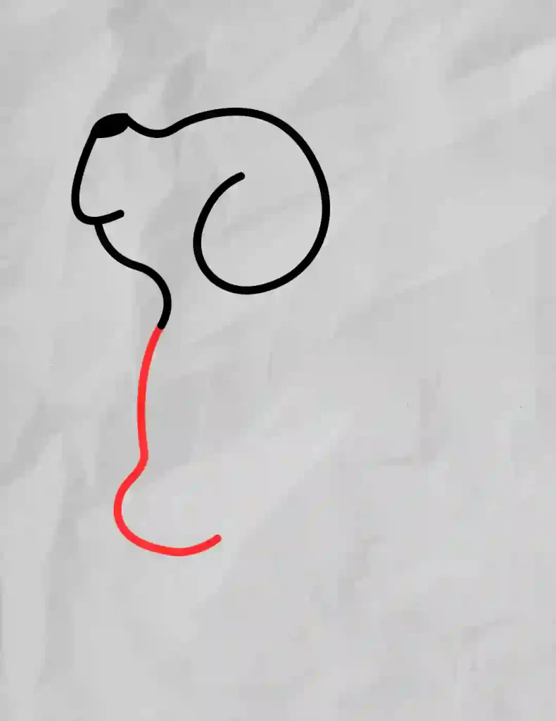 How-to-Draw-a-Dog