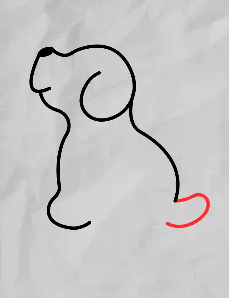 How-to-Draw-a-Dog
