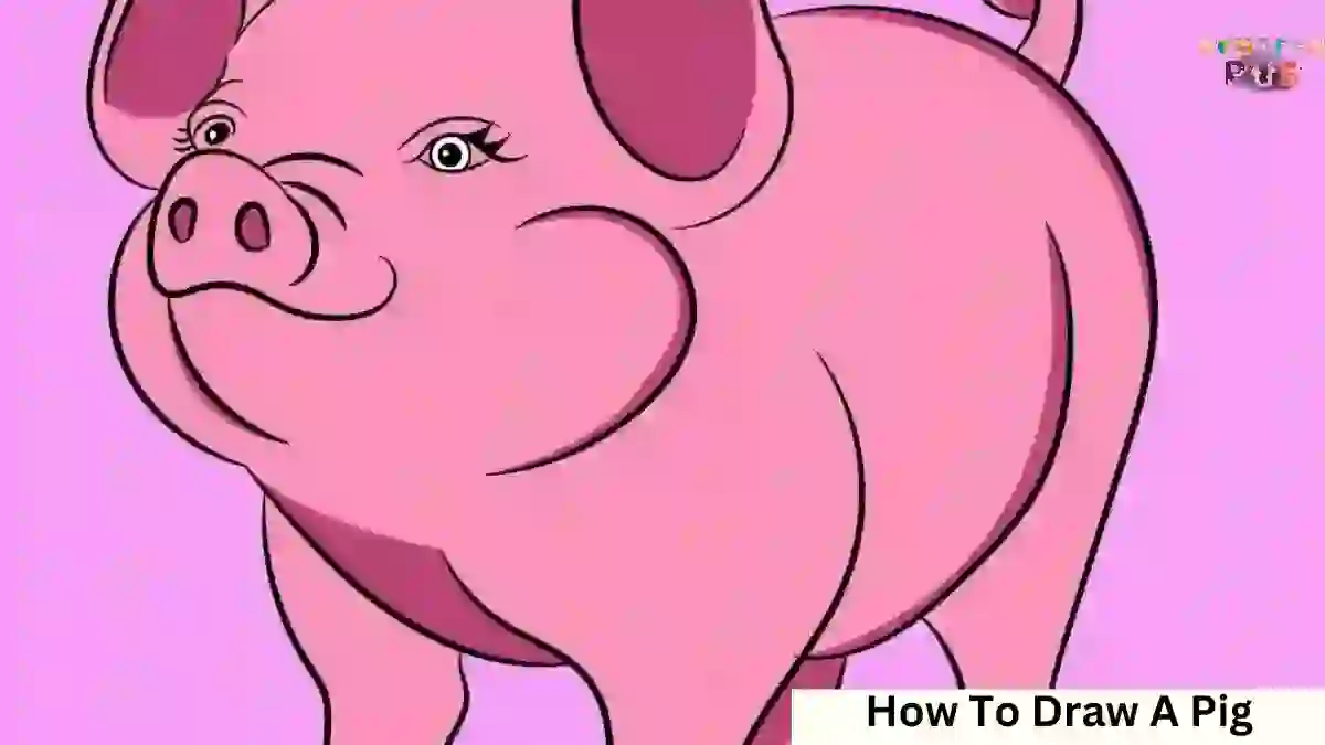 How-To-Draw-A-Pig