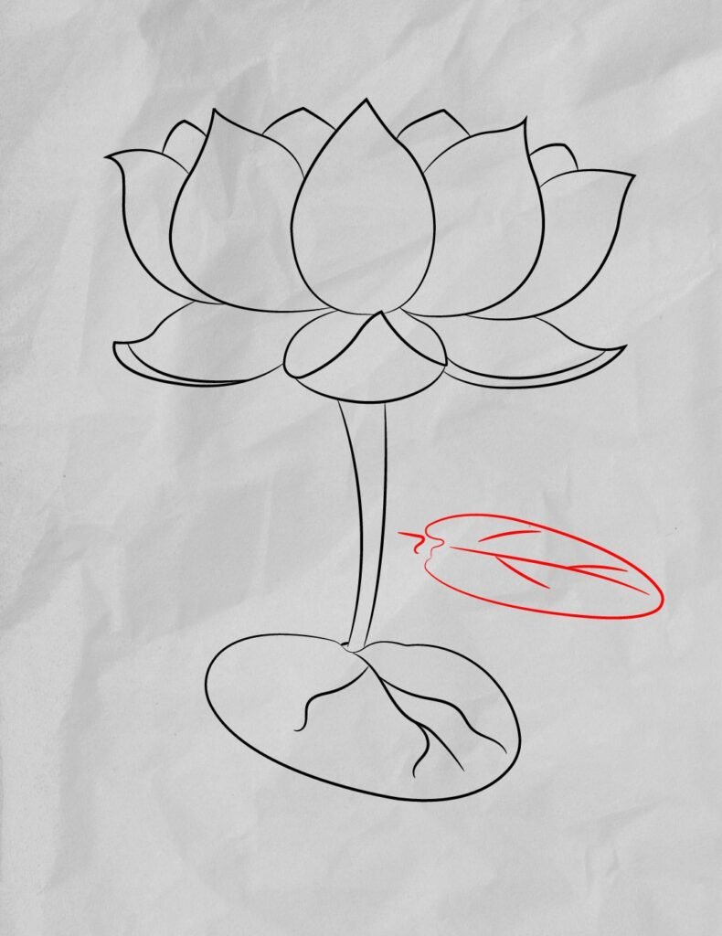 How-To-Draw-A-Lotus-Flower