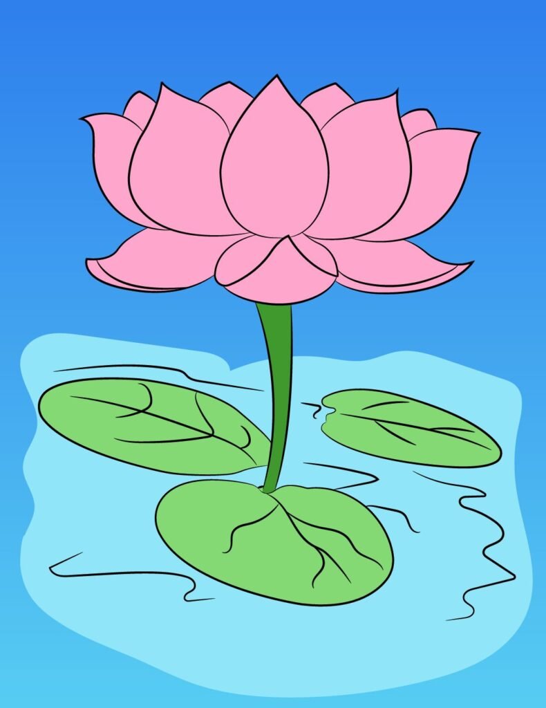 How-To-Draw-A-Lotus-Flower