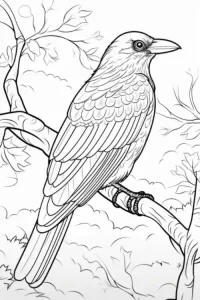 Crow-Coloring-Page